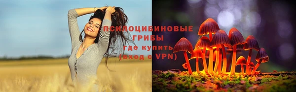 PSILOCYBIN Верея