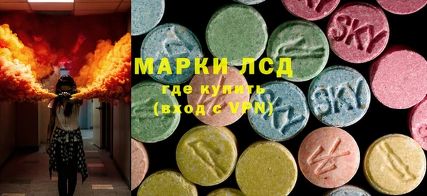 PSILOCYBIN Верея