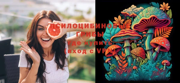 PSILOCYBIN Верея