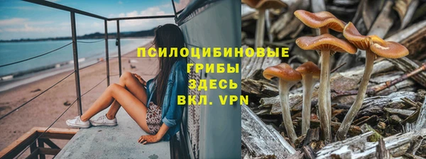 дмт Бугульма